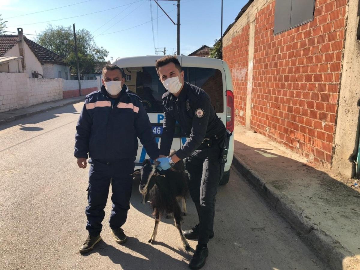 Aydın Polisi bu defa mağdur ke&ccedil;i i&ccedil;in seferber oldu