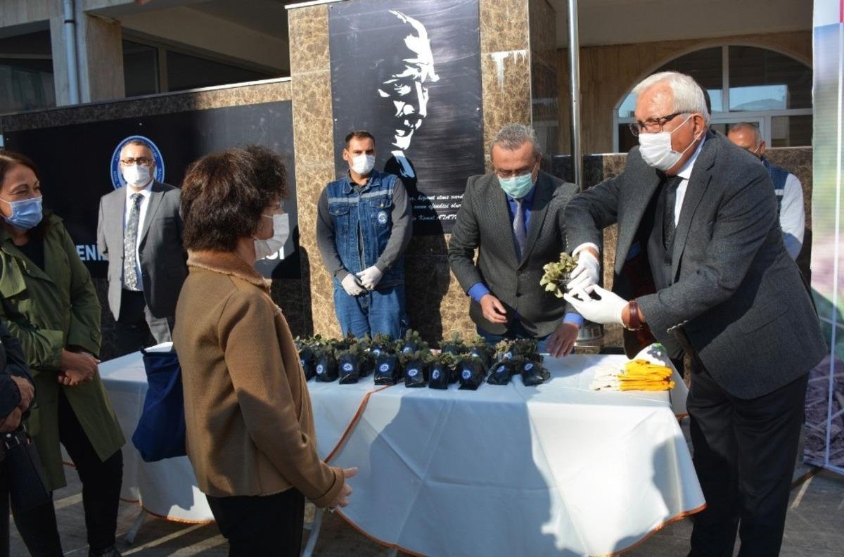 Kdz. Belediyesi 2 bin 500 Osmanlı &Ccedil;ileği fidesi dağıttı