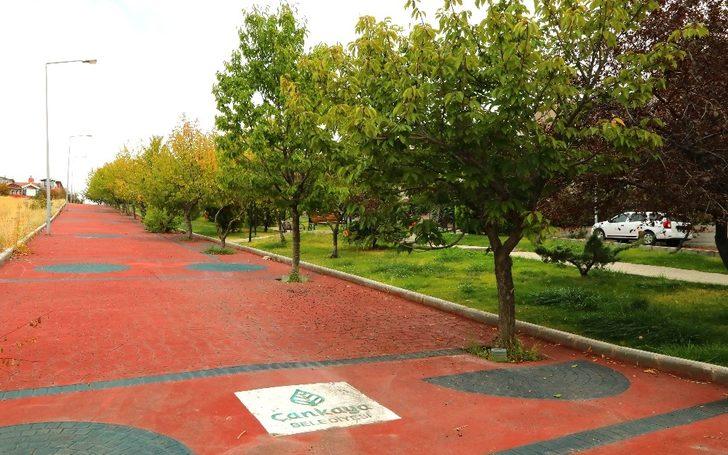 Çankaya renkli kaldırımlar ile canlanıyor G2