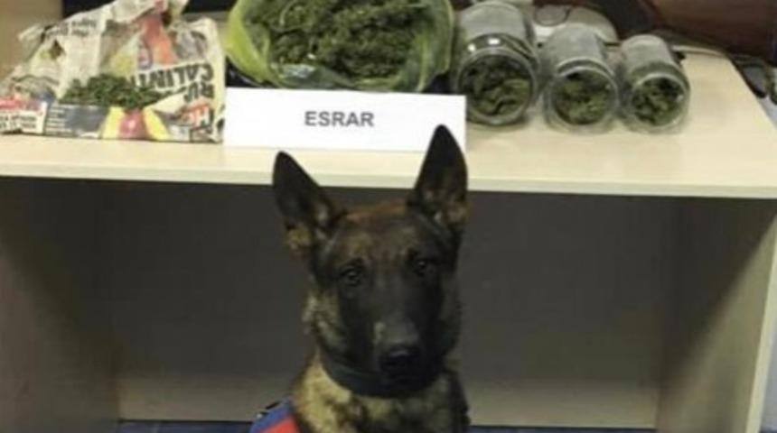 Halı yıkama işletmesinde uyuşturucu ticareti; 1 tutuklama