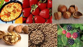 Paha Biçilmez Besinler