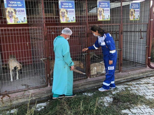 Akşehir Belediyesi ile HAYTAP’tan ortak proje 1