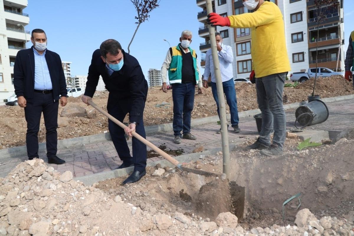 Başkan Baydilli park &ccedil;alışmalarını inceledi