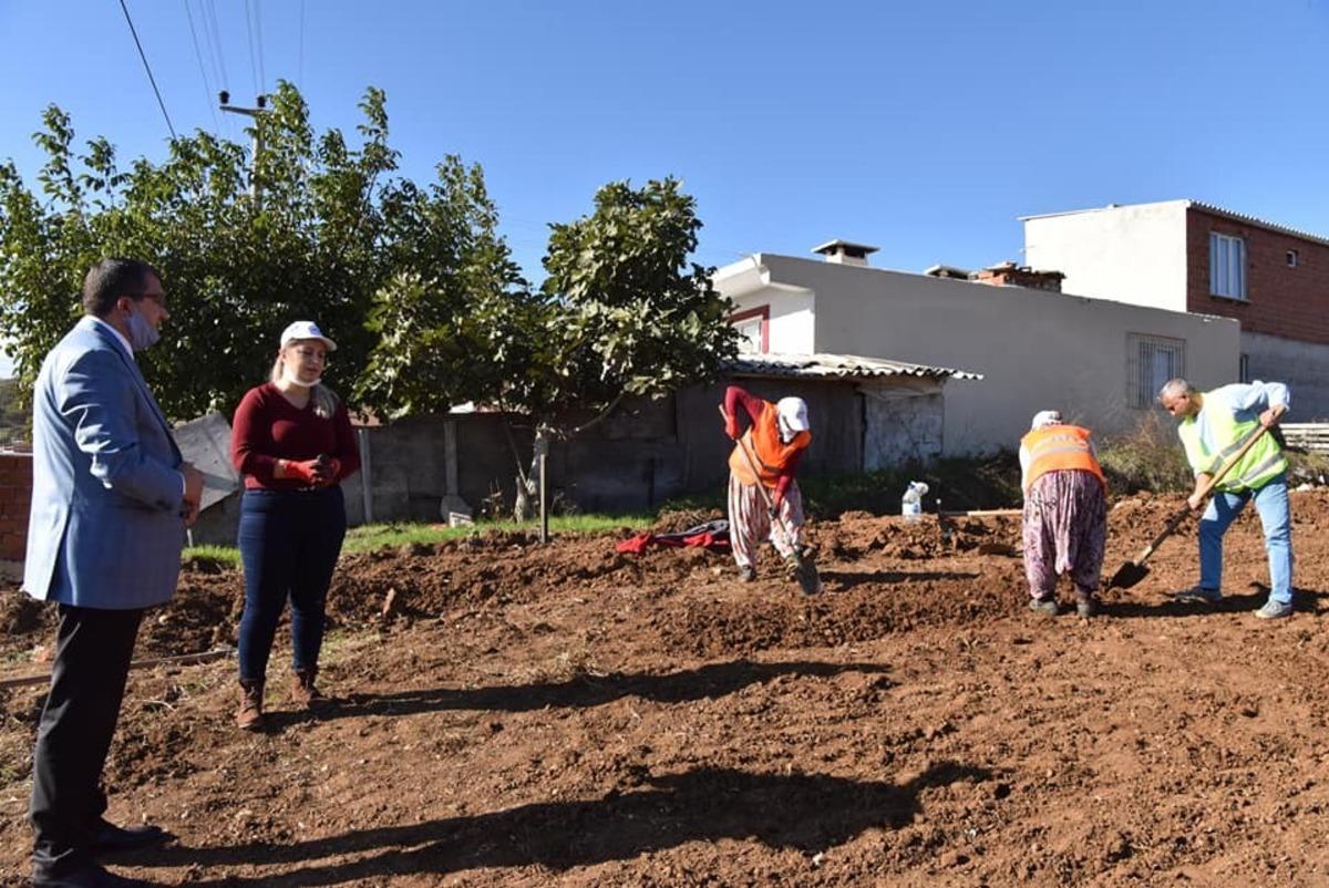 &Ccedil;an Belediyesi 20 bin salep fidesini toprakla buluşturuyor