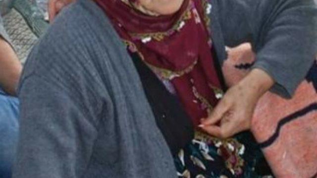 Mantar toplamayan giden yaşlı kadın dağda kayboldu