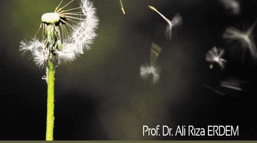 AD&Uuml; &ouml;ğretim &uuml;yesi Erdem&rsquo;in kitabı yayınlandı