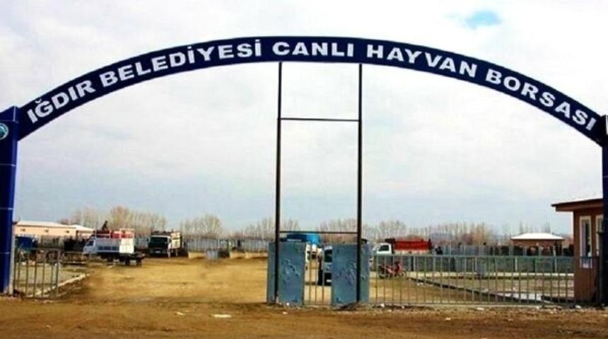 Iğdır &rsquo;Canlı Hayvan Pazarı&rsquo; haftada beş  g&uuml;n a&ccedil;ık olacak