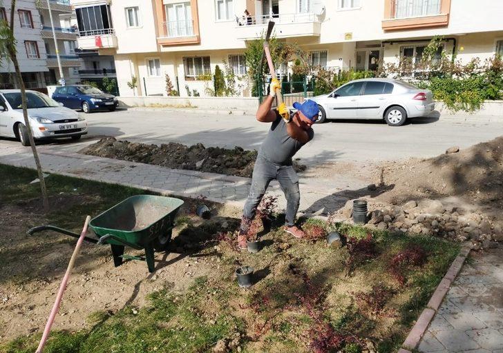 Keçiören’in parkları kış çiçekleri ile donatıldı G2