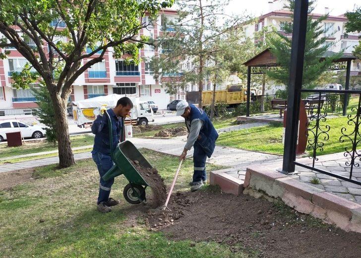 Keçiören’in parkları kış çiçekleri ile donatıldı G3