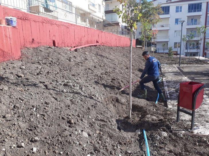 Keçiören’in parkları kış çiçekleri ile donatıldı G4