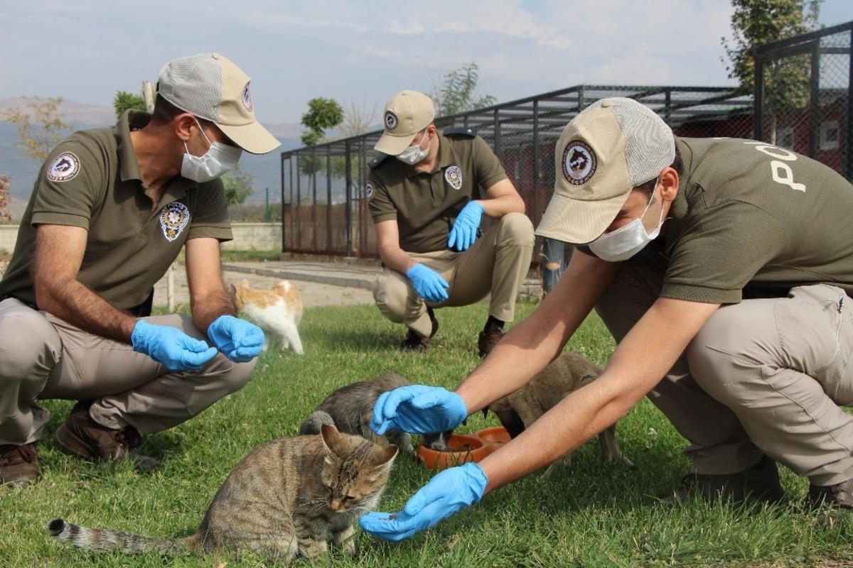 Hayvanları koruma polisleri g&ouml;reve başladı