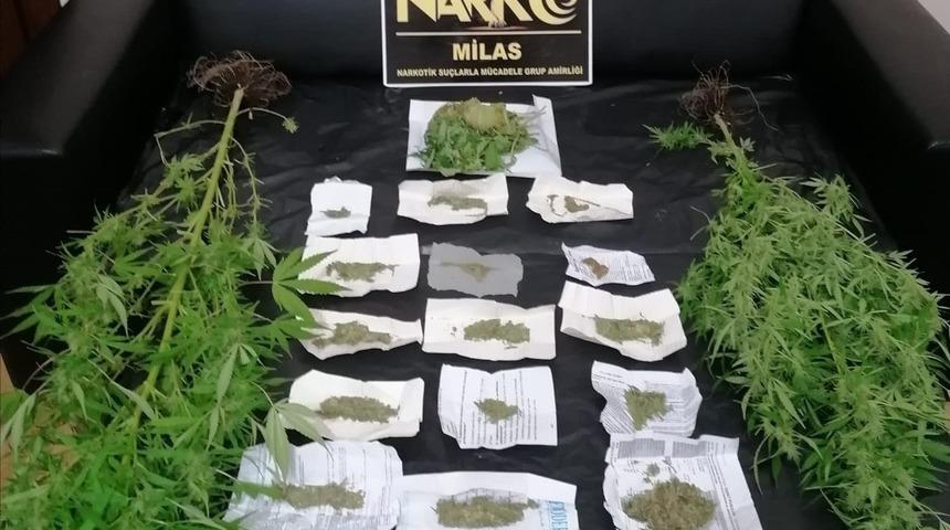 Muğla’da narkotik operasyonunda 1 gözaltı