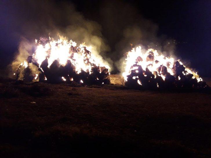 Çaldıran’da ot yangını G1