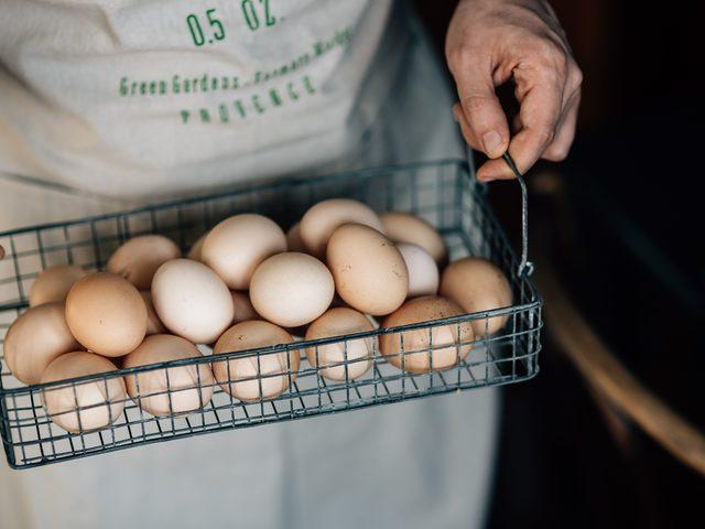 R&uuml;yada yumurta toplamak