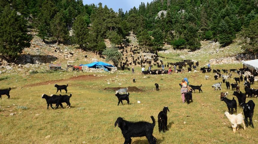 G&uuml;nler s&uuml;ren yolculuk başladı! D&ouml;n&uuml;yorlar