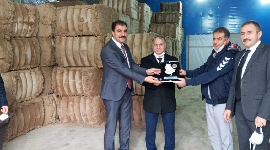 İstiridye mantarı yöre halkının yeni gelir kapısı oldu