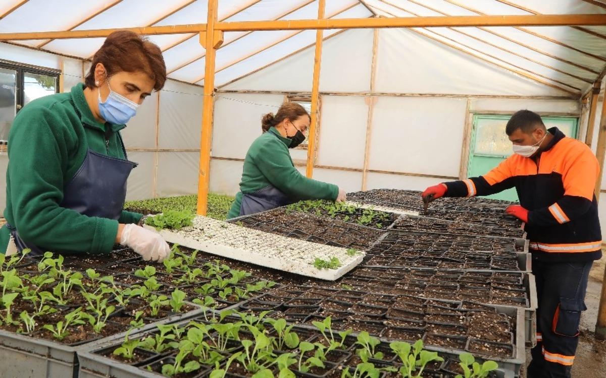 &Ccedil;ankaya&rsquo;nın parkları rengarenk