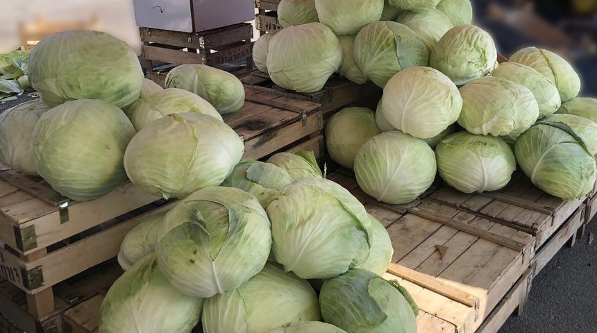 Özellikle turşusu damak çatlatıyor! Hiçbir katkı maddesi olmadan yetiştiriliyor