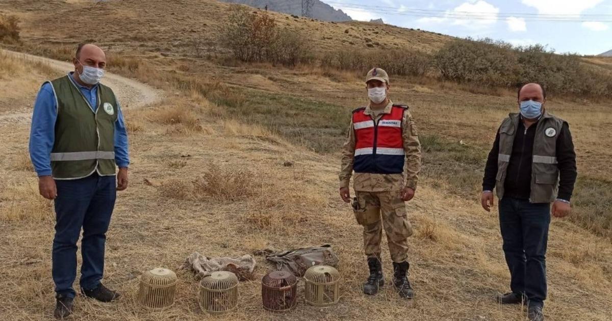 Ka&ccedil;ak avlanılan 4 kınalı kekliğe el konuldu