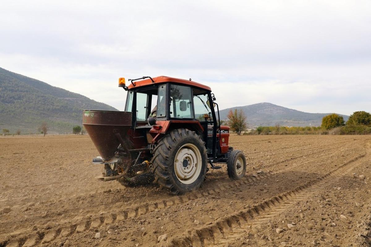 Menteşe&rsquo;de ata tohumu buğdaylar toprakla buluştu