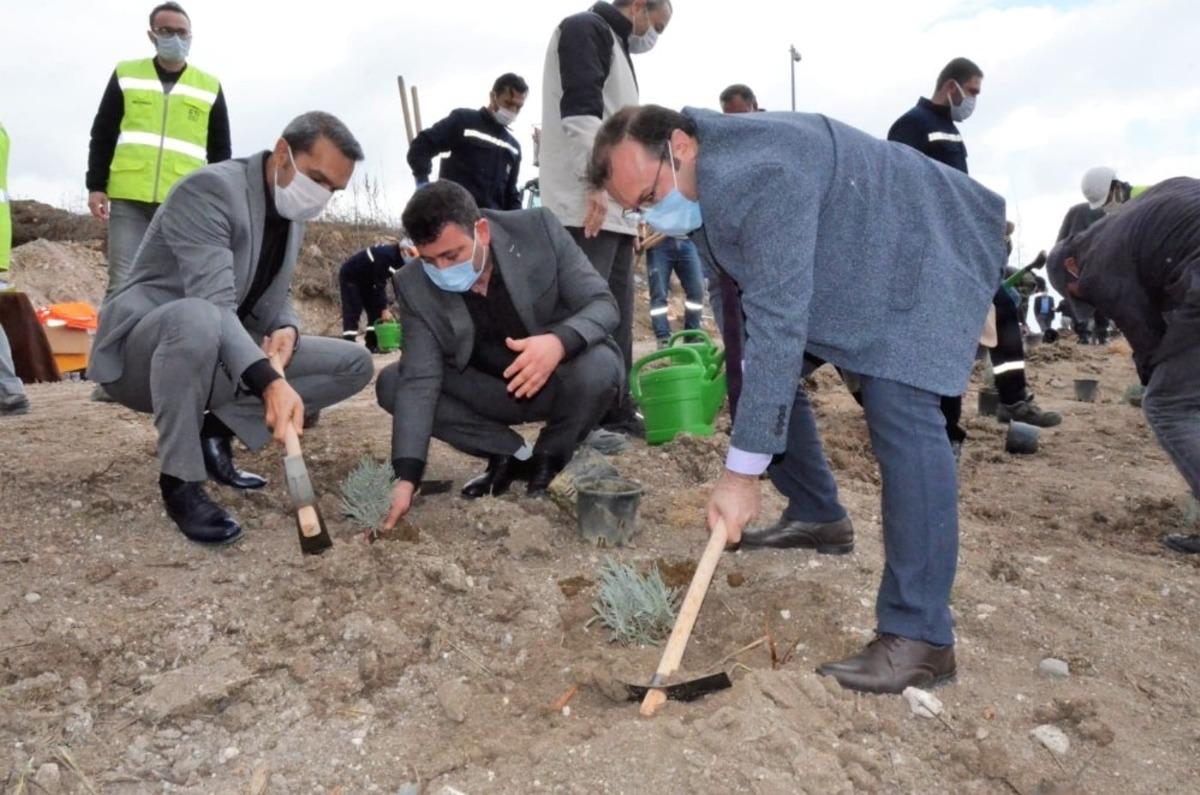 Emet&rsquo;te 6 bin 500 fidan toprakla buluştu