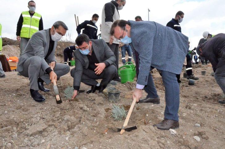 Emet’te 6 bin 500 fidan toprakla buluştu G1