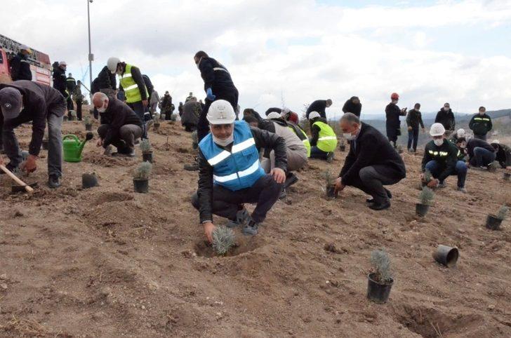 Emet’te 6 bin 500 fidan toprakla buluştu G3