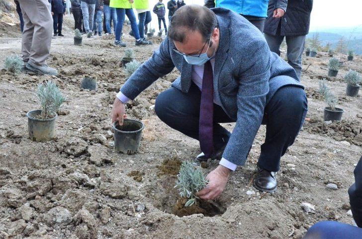 Emet’te 6 bin 500 fidan toprakla buluştu G4