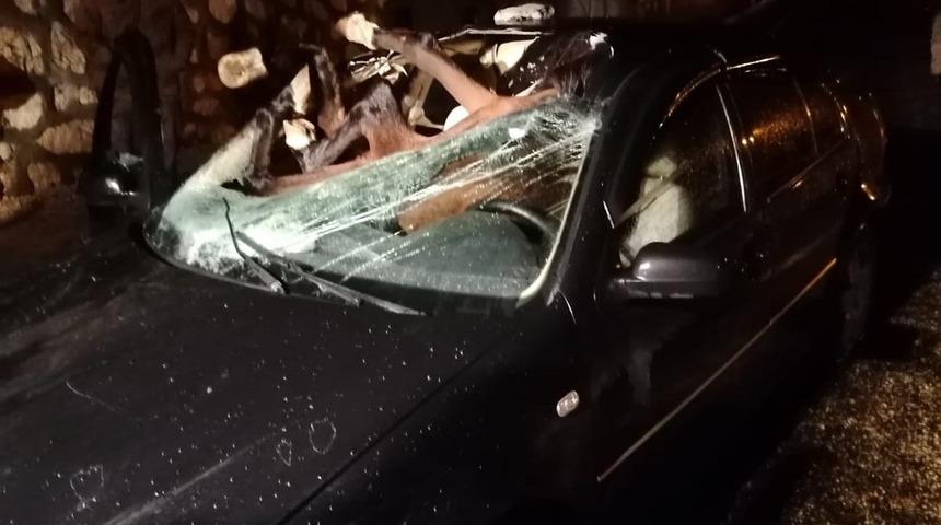 Adıyaman'da otomobilin &ccedil;arptığı at aracın i&ccedil;ine girdi