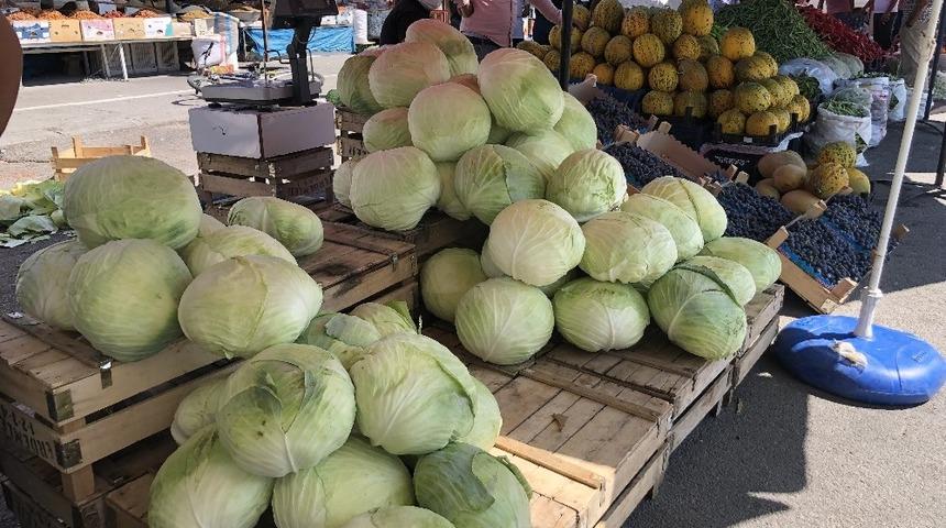 Erzincan&rsquo;da kışın habercisi &ldquo;Lahana&rdquo; tezgahlarda yerini aldı