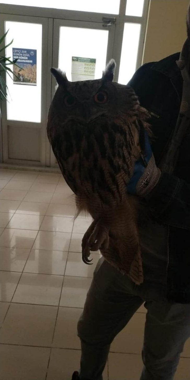 Yaralı bulundu, tedaviye alındı G3