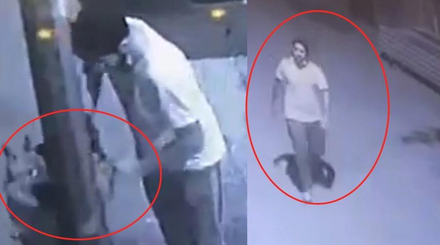 Hırsızlara karşı iş yerinin önüne bağladığı köpeği çalındı