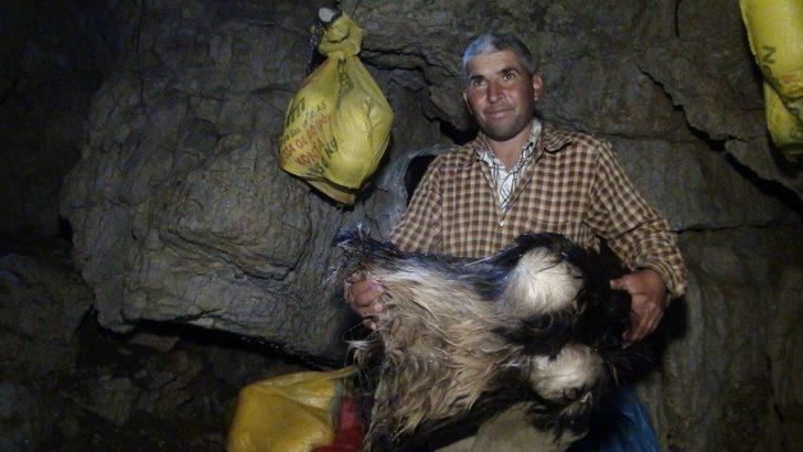 Siparişleri yazın topluyor! Dağın tepesine çıkıp, 40 metrelik obruklarda saklıyor  G5