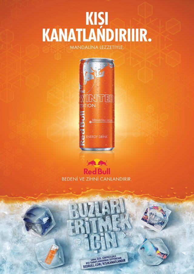 Red Bull Winter Edition Mandalina