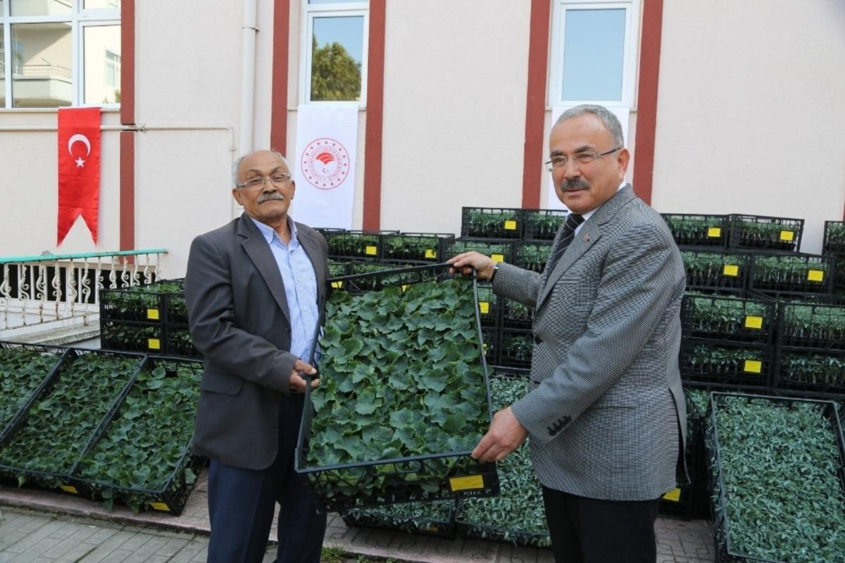 Ordu topyek&uuml;n &uuml;retime ge&ccedil;iyor