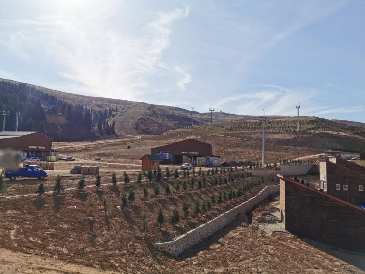 Kayak tesisine bin 100 ağa&ccedil;