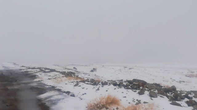 Erzincan’ın yüksek kesimleri kardan beyaza büründü