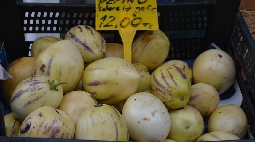 Sinop&rsquo;ta pepino &uuml;retimi