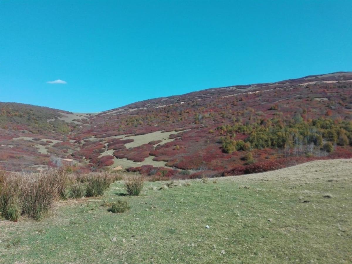 Ordu&rsquo;nun yaylalarından kartpostallık g&ouml;r&uuml;nt&uuml;ler
