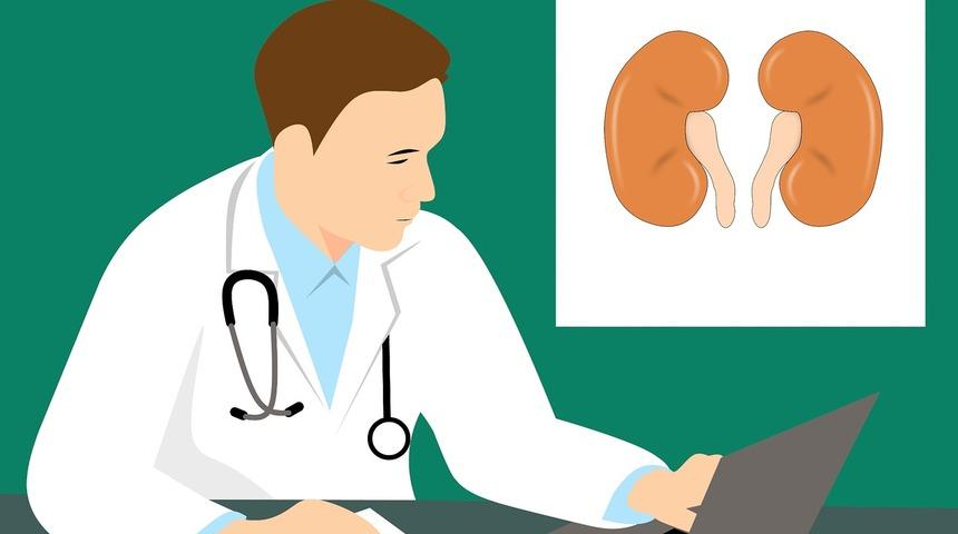 Hidronefroz (böbrek büyümesi) nedir, nasıl anlaşılır?