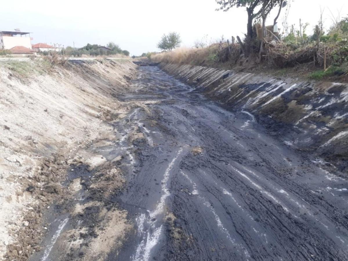 Hem kokudan hem taşkın riskinden kurtuldular