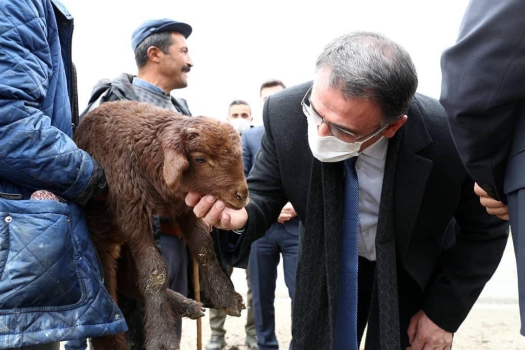 Tokatlı 305 &ccedil;ift&ccedil;iye 26 bin 352 k&uuml;&ccedil;&uuml;kbaş hayvan desteği