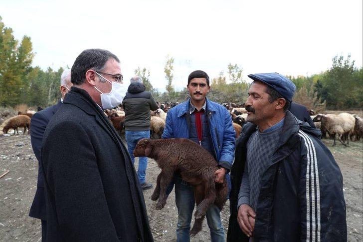 Tokatlı 305 çiftçiye 26 bin 352 küçükbaş hayvan desteği G2
