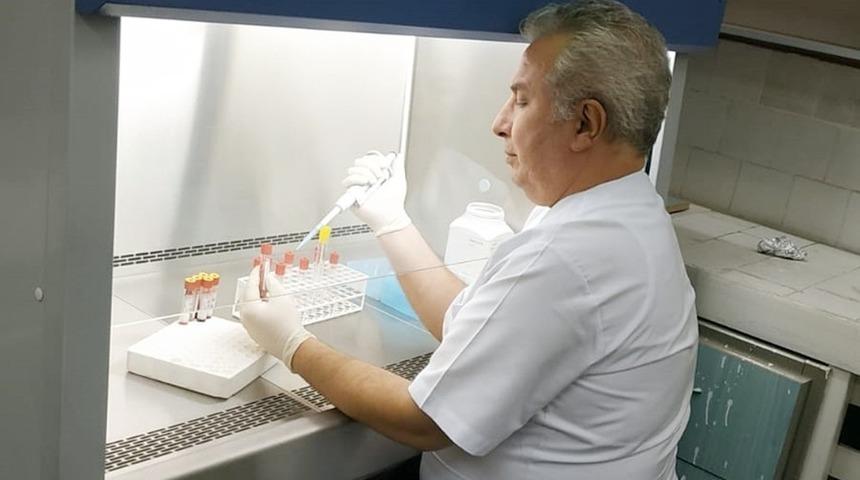 İneklerdeki 3 gün hastalığı için yeni aşı umudu