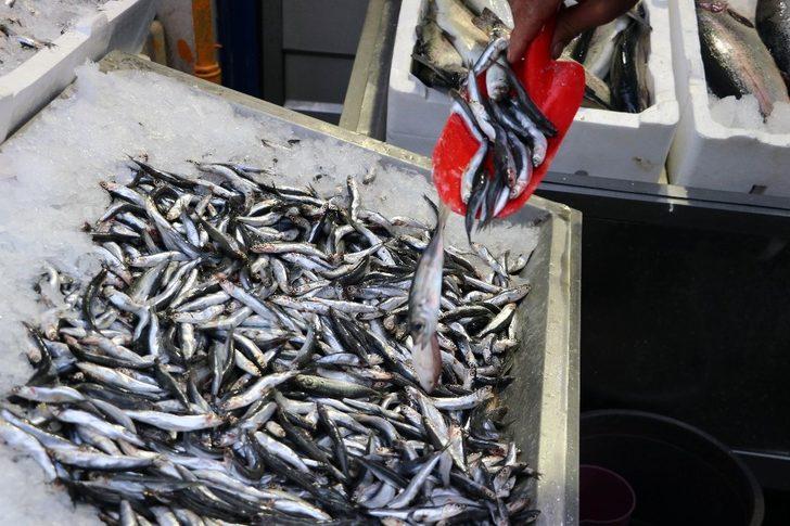 Alanda satanda balık fiyatlarına tepkili G2