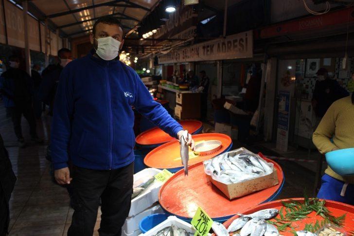 Palamut tezgahlara veda ediyor G1