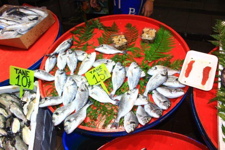 Palamut tezgahlara veda ediyor G2