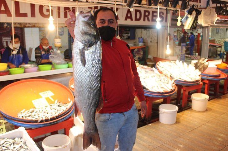 Palamut tezgahlara veda ediyor G3