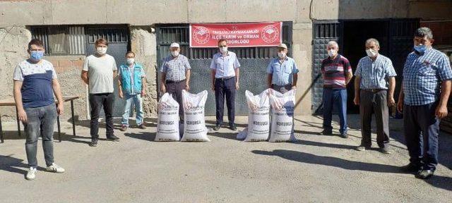 Tavşanlı’da çiftçilere Macar Fiği, Korunga ve Yem Bezelyesi tohumu dağıtıldı