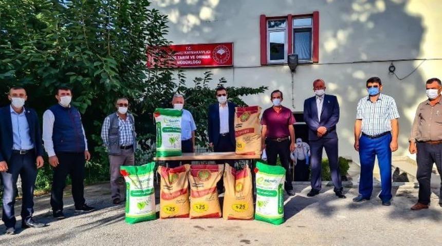 Tavşanlı’da çiftçilere Macar Fiği, Korunga ve Yem Bezelyesi tohumu dağıtıldı